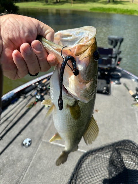5" fat tail worm