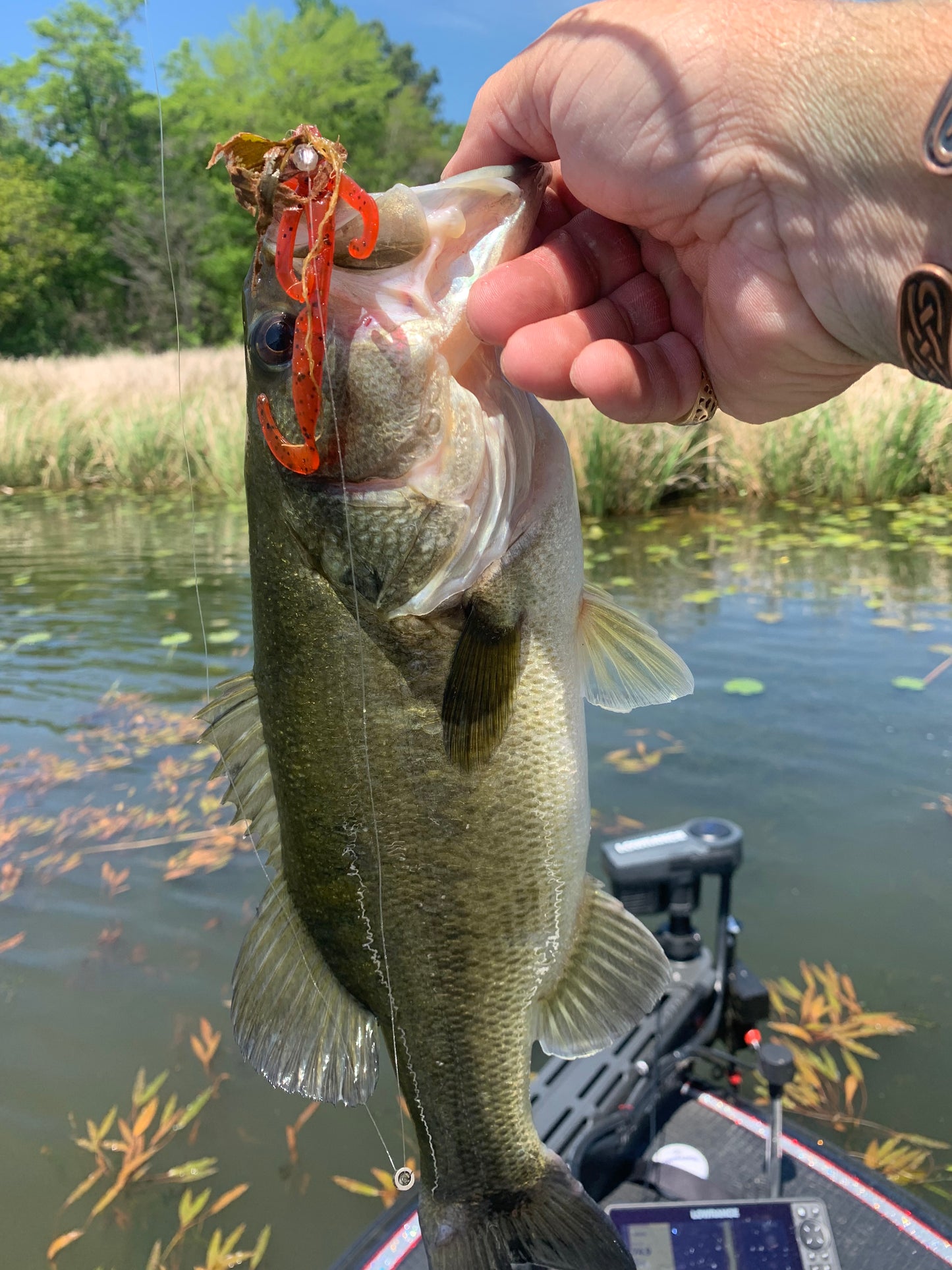 4” craw
