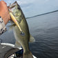 6" WEIGHTED SWIM BAIT