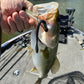 5" fat tail worm