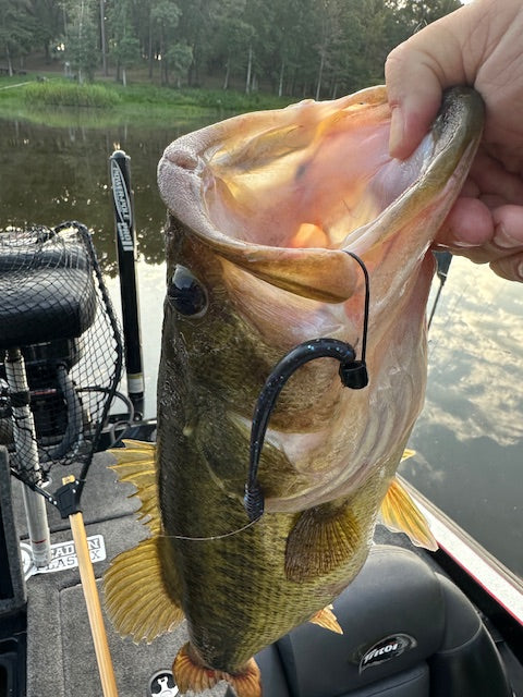 5" fat tail worm