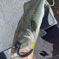 5.75" speed worm