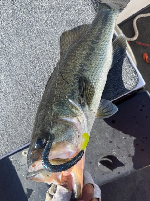 5.75" speed worm