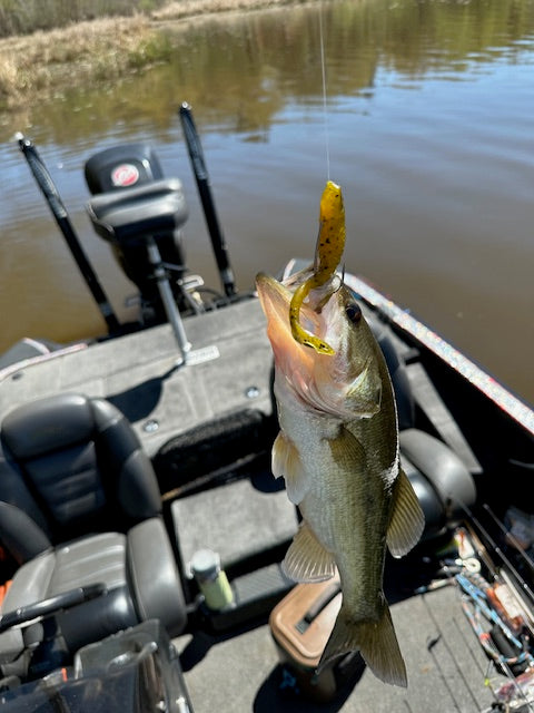 4.25 Waffle Shad