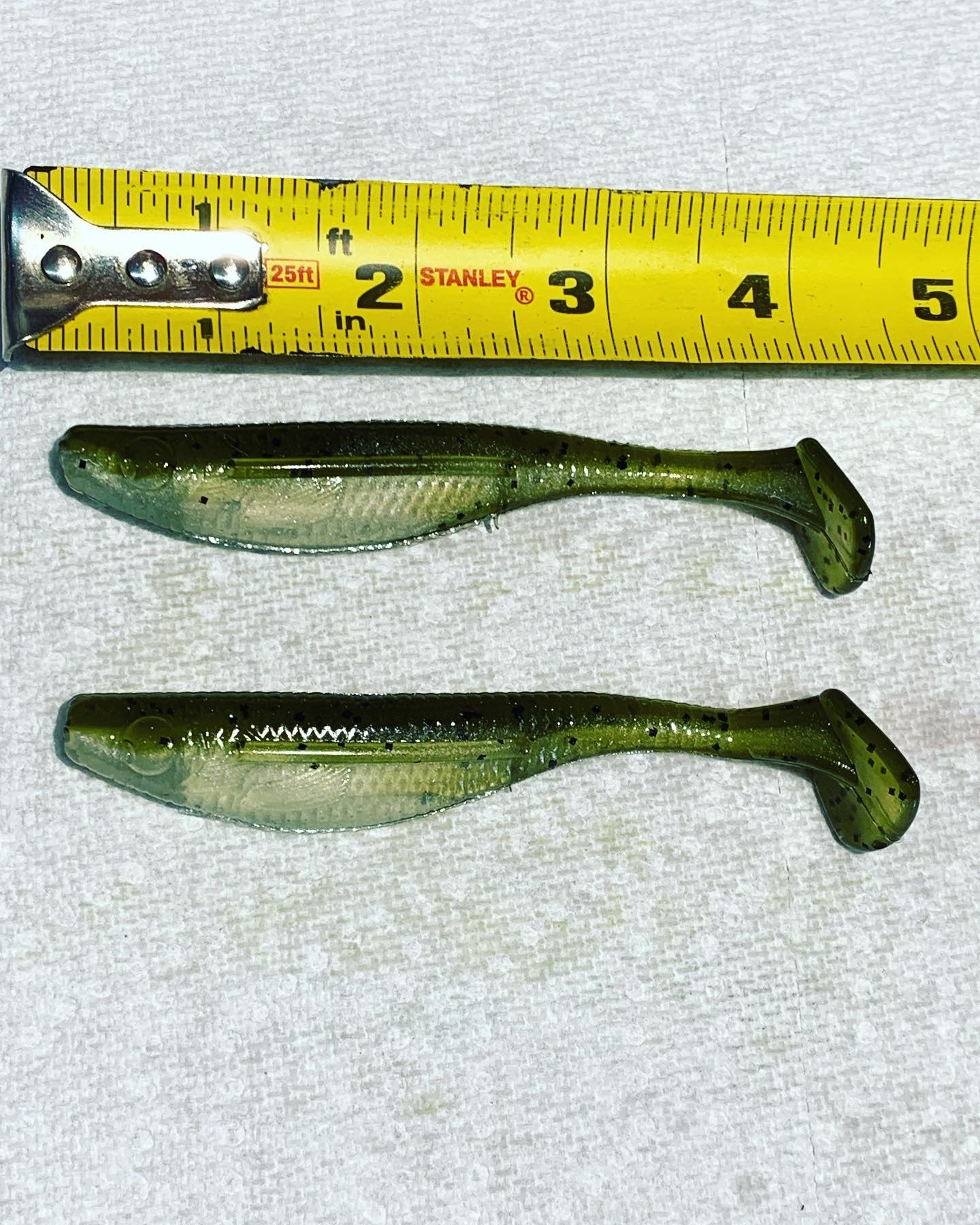 4” paddle tail swim bait (bloodline)