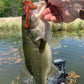 4” craw