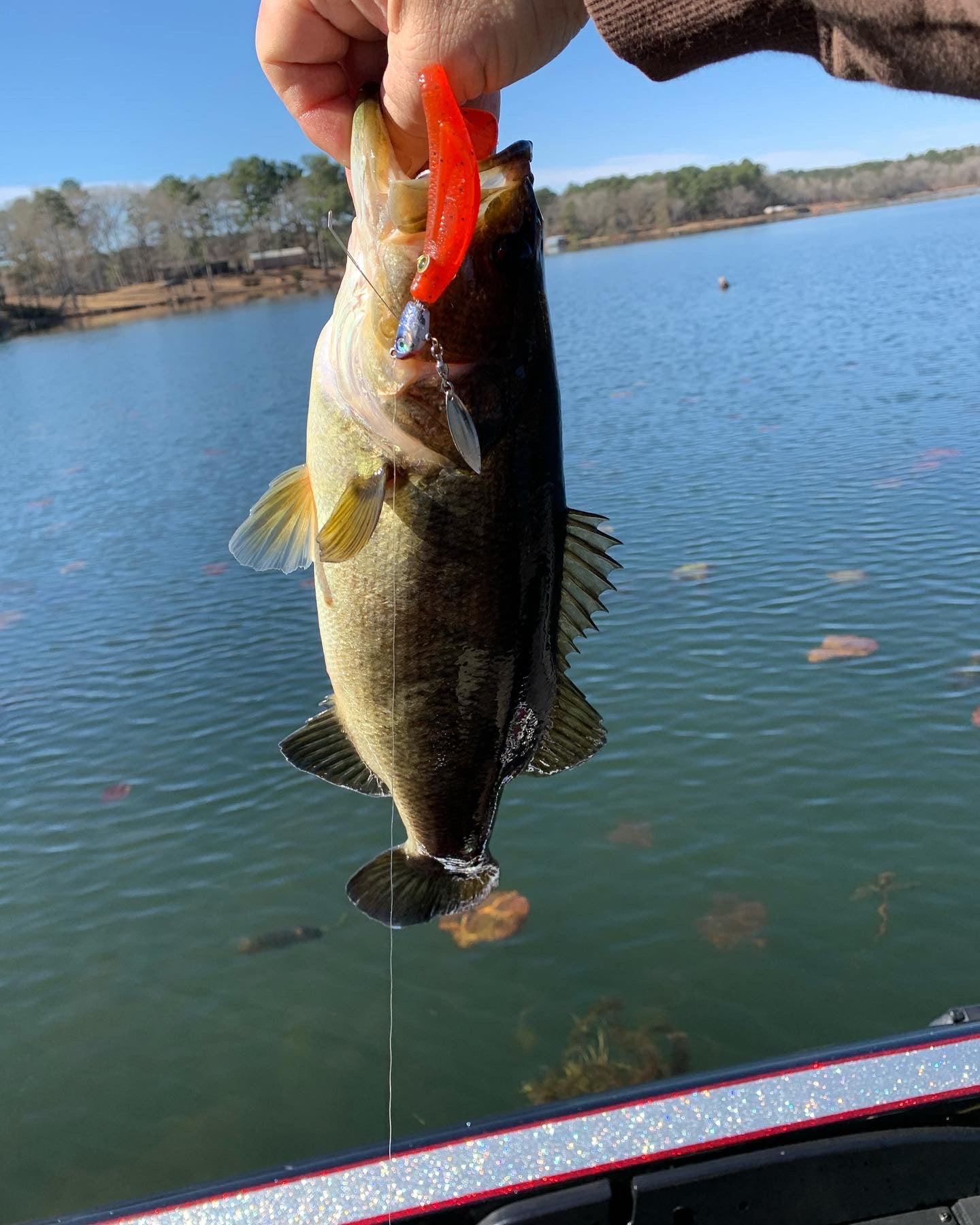 4” swim bait straight tail (chatter bait trailer) – East Texas